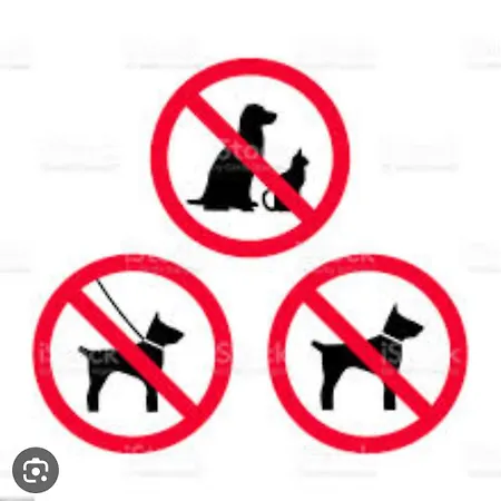 Casa Hibiscus 2 * Putbus