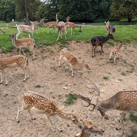 Casa Hibiscus 2 Apartamento *