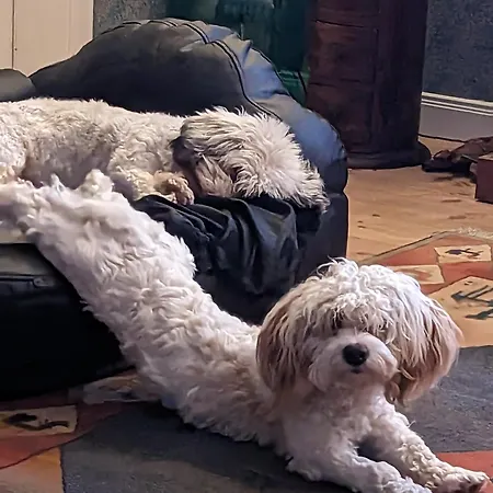 Casa Hibiscus 2 Apartamento Putbus